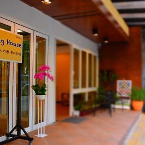 Seedling House